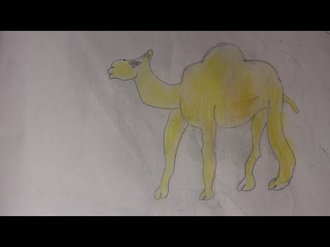 كيف ترسم جمل كيوت خطوة بخطوة رسم سهل تعليم الرسم للمبتدئين 