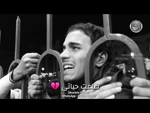 ضاعت حياتي للشيخ محمود ياسين التهامي 