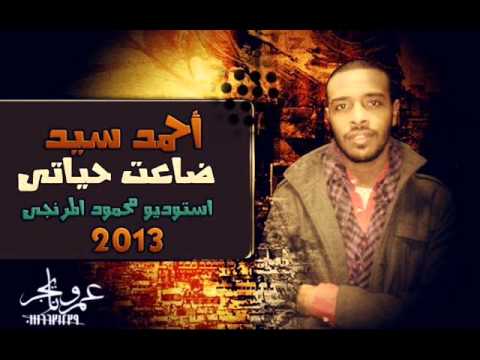 ضاعت حياتي 2013 