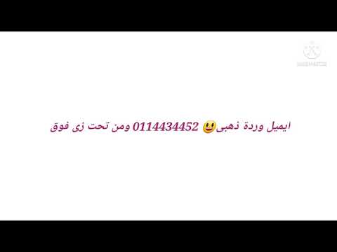 رسائل البريد الإلكتروني المجانية لفريق وولف 