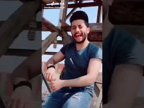 وحذاء أبو الجوزاء أن الحب هو المقصود 