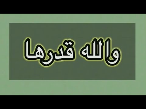 السنا أحق بقلب سعيد بصوت محمد كندو أغاني بدون موسيقى تصميمي وكلمات 