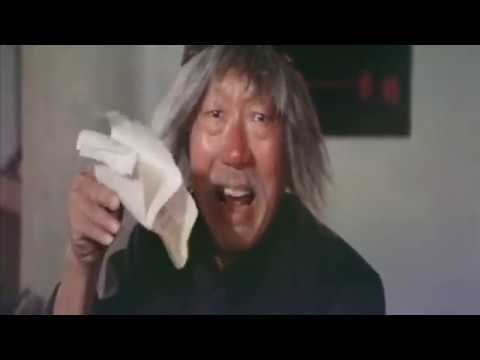 DRUNKEN MASTER 2 Dance Of The Drunken Mantis Martial Arts Movie English Dubbed RETRO101 