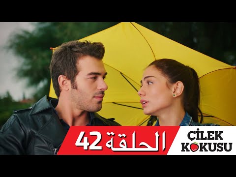 رائحة الفراولة الحلقة 42 مدبلجة تشيليك كوكوسو 