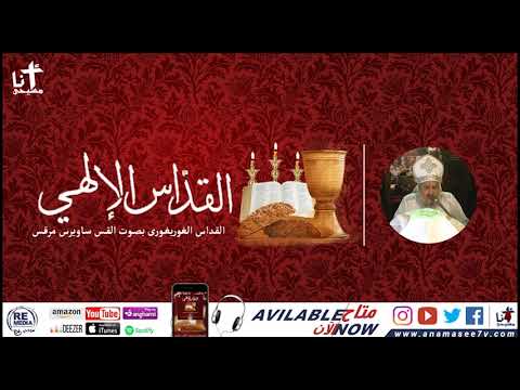 القداس الميلادي بتلاوة الأب ساويرس مرقس 