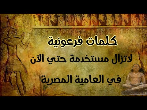 ولا تزال الكلمات الفرعونية مستخدمة حتى اليوم في اللغة العامية المصرية. استخدام الكلمات الهيروغليفية أمر مدهش 