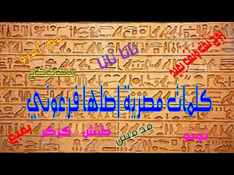 كلمات مصرية اصلها فرعوني نستخدها الي الأن 