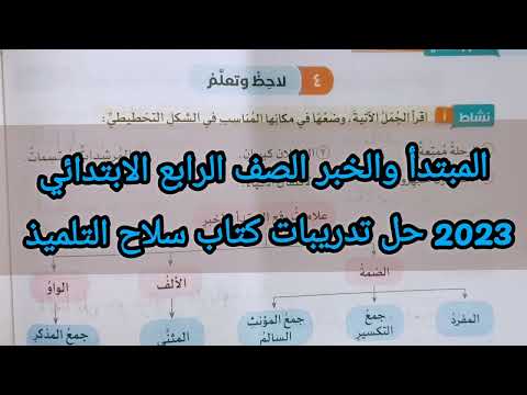 المبتدأ والخبر: حل تمارين كتاب سلاح التلميذ للصف الرابع الابتدائي 2023 