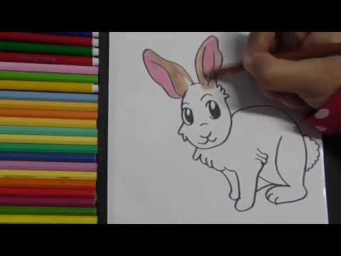 تعليم الرسم للاطفال رسم ارنب خطوه بخطوه للاطفال رسم سهل وبسيط 