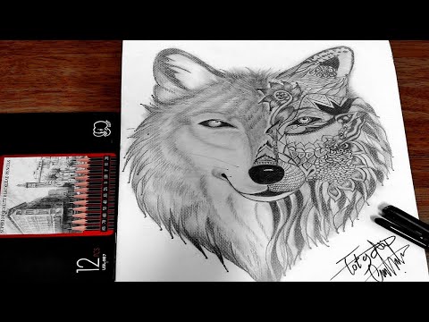 Toty Art Draw A Wolf Step By Step رسم ذئب خطوة بخطوة 