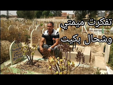 حنفي مصباح تفكرت ميمتي اغاني فكرت في ميمتي وبكيت اغنية عن الام الباكية 