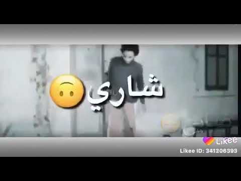 عالم عائشة على المنضدة 