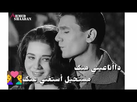 احلى نغمه يا ستار محمد حماقي Mohamed Hamaki بالكلمات 