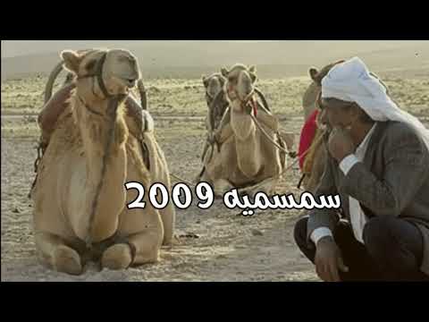 السمسمية 2009 بعد الصباح والصباح 