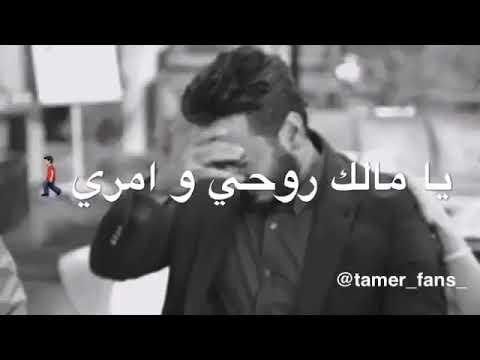 لماذا أنت صامت؟ ماذا ستفعل؟ 