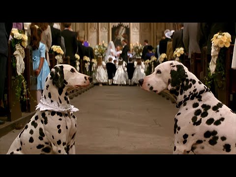 حرب خطيرة بين الكلاب والبشر 101 Dalmatians 