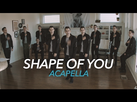 Ed Sheeran Shape Of You Acapella 