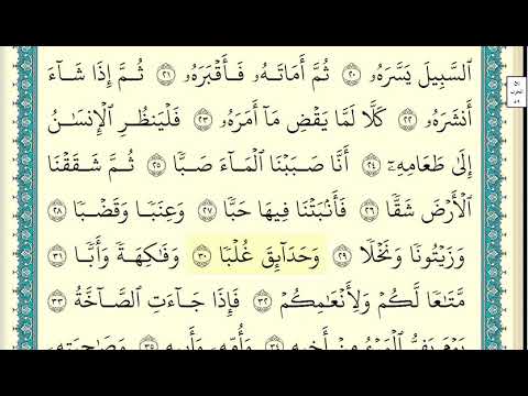 ياسر الدوسري جزء عم كاملة ومكتوبة بدقة عالية 