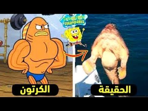 7 شخصيات سبونج بوب موجودة بالفعل 