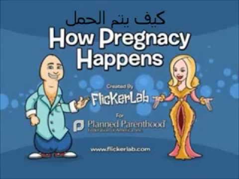 كيف تحمل المرأة من الرجل؟ 