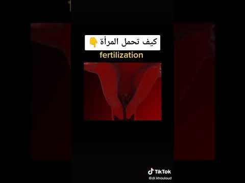 شاهد كيف تحمل المرأة سبحان الله 