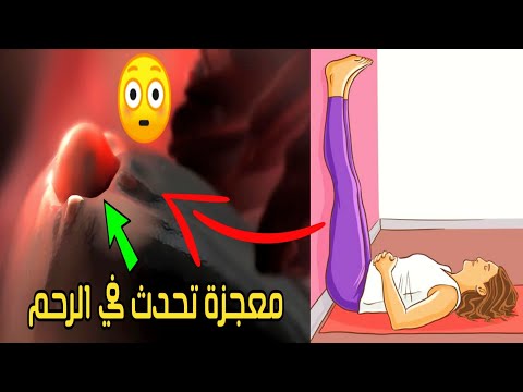 معجزة تحدث في الرحم أثناء الجماع، طريقك إلى الحمل في أسرع وقت ممكن 