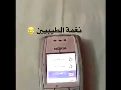 نغمه لطيبين امين 