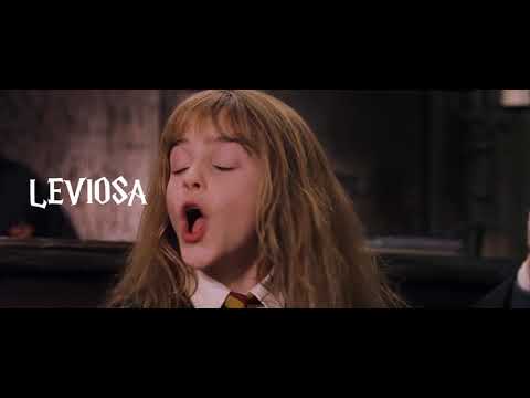 Harry Potter The Rap 