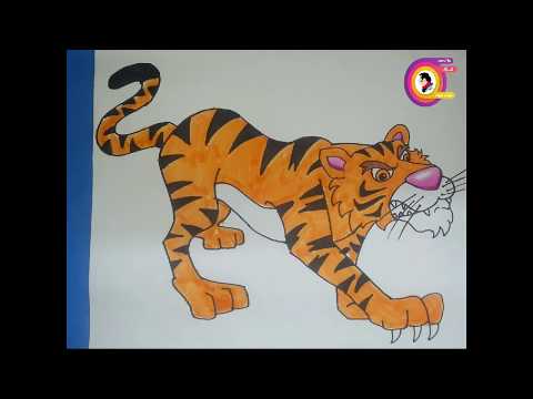 طريقة رسم النمر تعليم الرسم للمبتدئين 