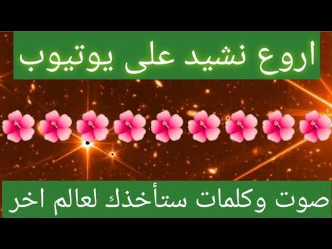 أجمل نشيد يمكنك سماعه على اليوتيوب بدون حقوق النشر. إعادة النشر مسموحة 