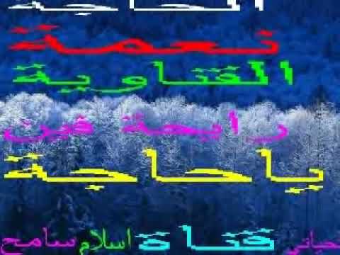 عرس الحجاج نعمة 