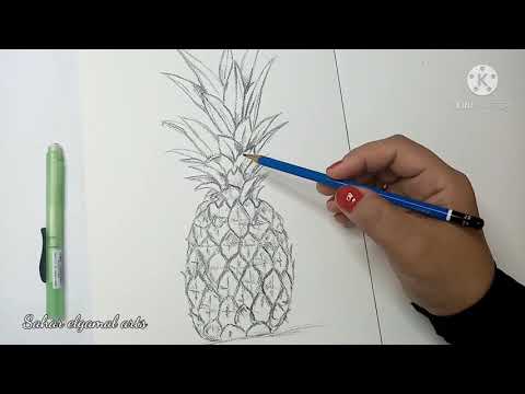 رسم سهل طريقة رسم اوت لاين الأناناس خطوة خطوة للمبتدئين الجزء الأول How To Draw Pineapple 