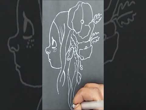 Easy Anime Drawing How To Draw Anime Girl Easy Step By Step Shorts Viralvideo Viralshorts 