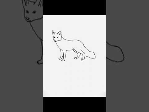 How To Draw Fox كيفية رسم الثعلب 