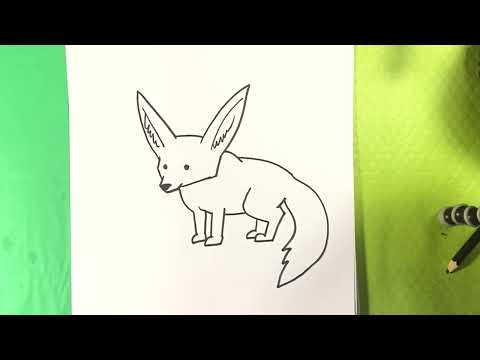 EASY How To Draw FENNEC FOX 