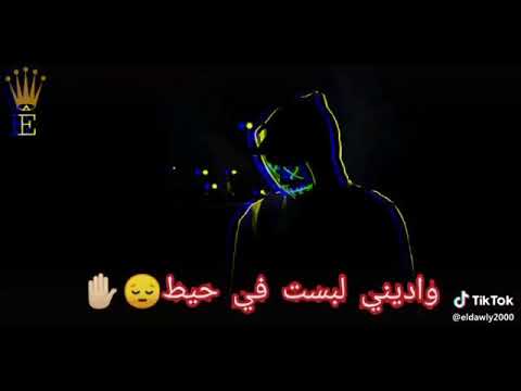 يا صحاب مش سالكين حالات واتس اب مهرجانات شعبيه جديده 2019 روعه 