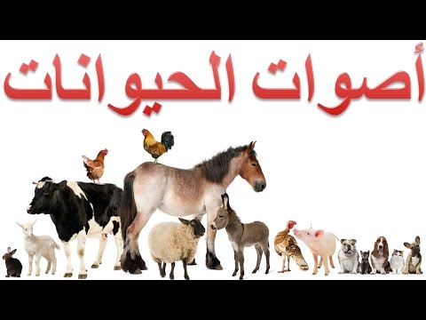 أصوات الحيوانات 