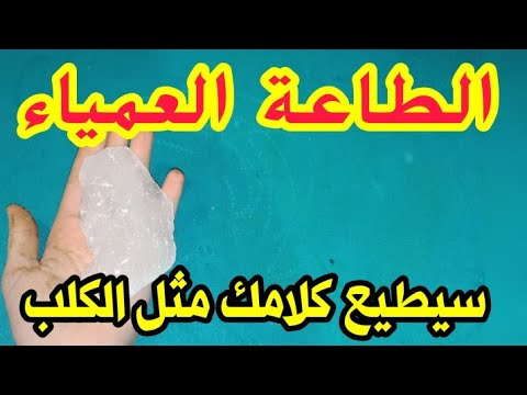 أقسم بالله سيطيع كلامك مثل الكلب إولي يبوس اليدين والرجلين سيصبح حبيبك بحال الكلب وانت اميرته 