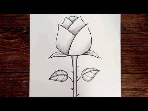 كيفية رسم وردة سهلة رسم وردة خطوة بخطوة رسم قلم رصاص للمدرسة رسم رسم زهرة سهلة رسم جميل للوردة 