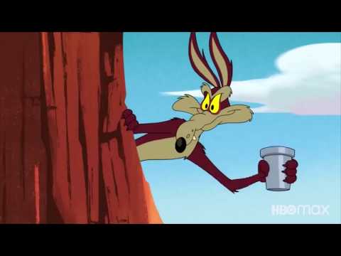 The Roadrunner And The Coyote New Episodes From The Looney Tunes Cartoons 