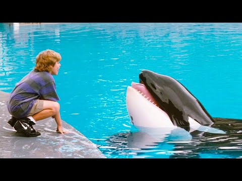 حوت بينقذ طفل من الغرق والطفل بيساعده عشان يهرب من الصيادين Free Willy 