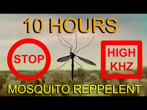 10 HOURS Mosquito Repellent Sound Ultrasonic Effect 14 15 Khz Concentration Meditation Sleep 