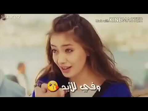 اجمل حالات واتساب بأروع اغنية الواعد واعد ونحنا لبعض 