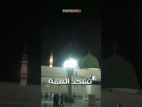 صلى الله عليه وسلم شفيع الأمة بذكر الرسول ومشحذ الروح 