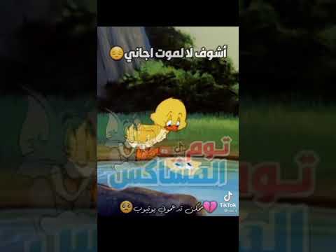 البطة مستاءة 