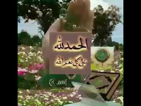 خدوني والله معاكم يا زوار النبي 