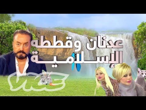 عالم الداعية الإسلامي عدنان أوكطار وقططه الإسلاميين 