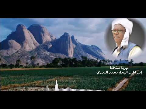 إمبراطور البجا محمد البدري تيربا تمثلاثا أغاني سودانية لغة البجاويت تراث البجا 