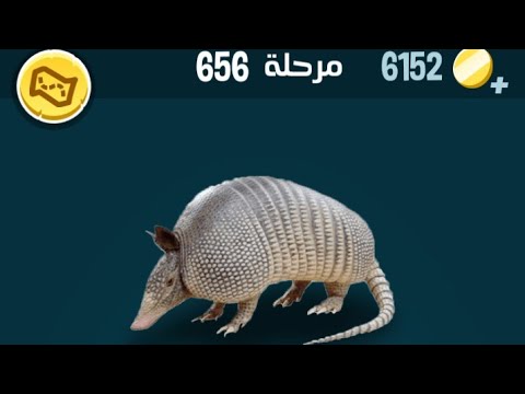 كلمات كراش 656 كلمات كراش 656 