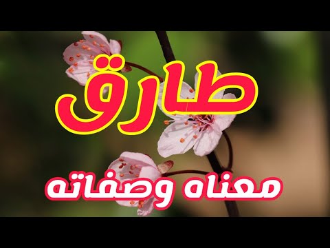 معنى اسم طارق وصفات الأشخاص الذين يحملون هذا الاسم 